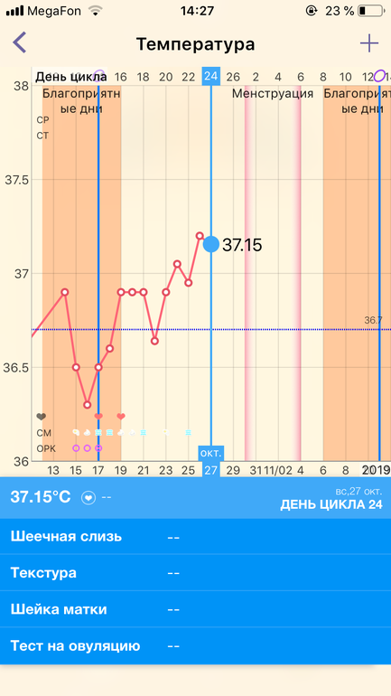 Менструально овуляторный цикл. График овуляции при 28 дневном цикле. Овуляция при месячных может быть. Схема нормального менструационного цикла. Беременный график с ранней овуляцией.