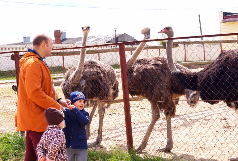 Солянка из майских прогулок