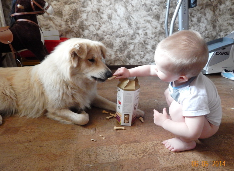 Наш Пломбир