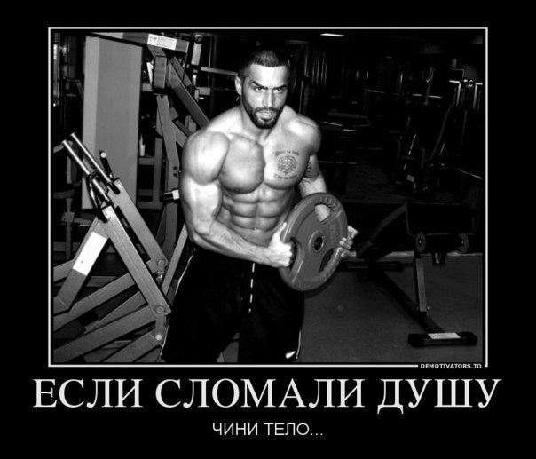 6c2e813b3763b729181aa2e220427bb5.jpg