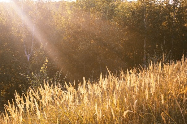 Я так скучаю по фото(((