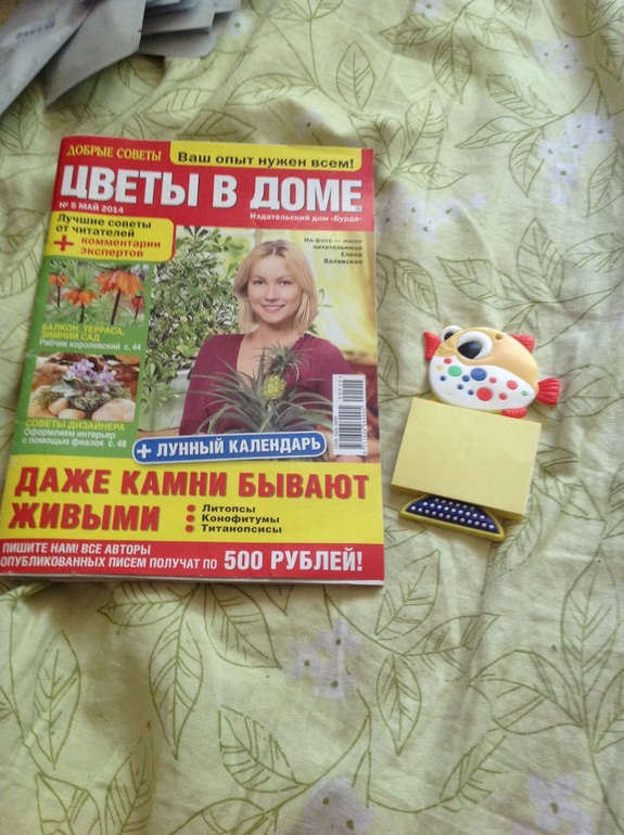 Отчет. Май
