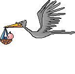 8b49e1a9dd56257273d1444bae108805.gif