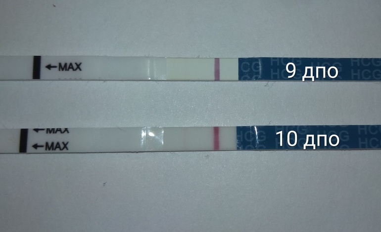 Фото после овуляция. 10 ДПО. ДПО это в беременности. 10 ДПО тест. Зачатие ДПО.