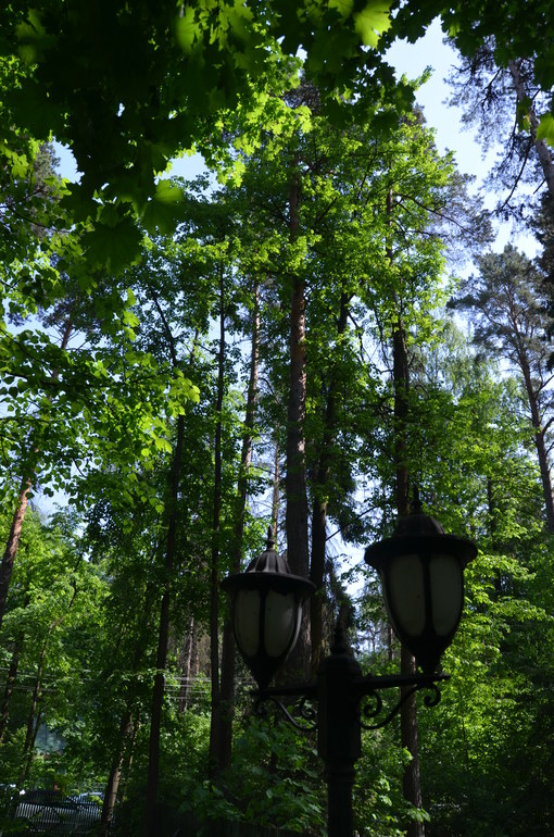 Здравствуй, лето - 2014! (18 мая)