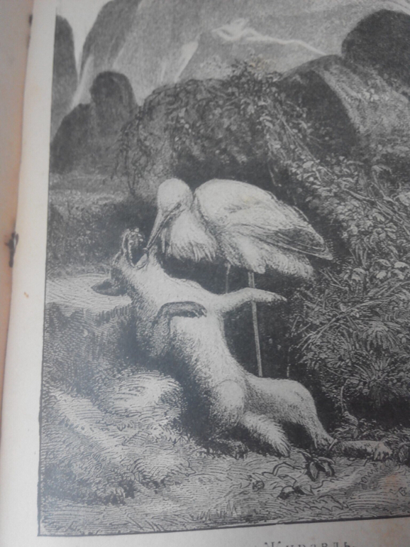 Басни Н. А. Крылова