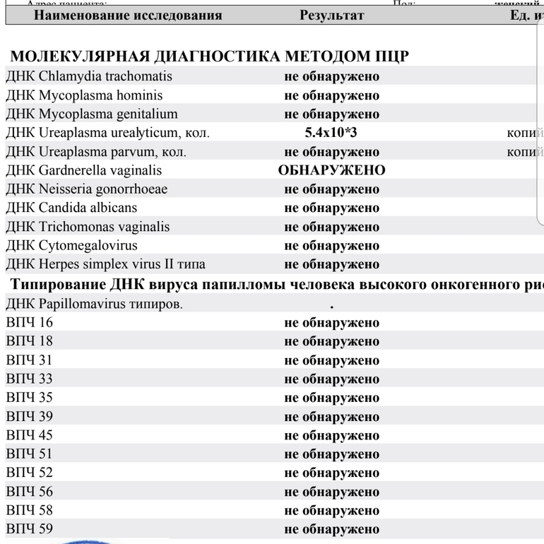 Уреаплазма гарднерелла кандида. Gardnerella vaginālis у женщин норма. ДНК Gardnerella vaginalis. Гарднерелла в норме у женщин показатели. Норма гарднерелла в мазке у женщин.