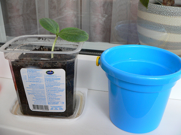 Книги и развитие