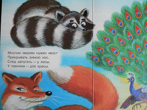 Книги и развитие