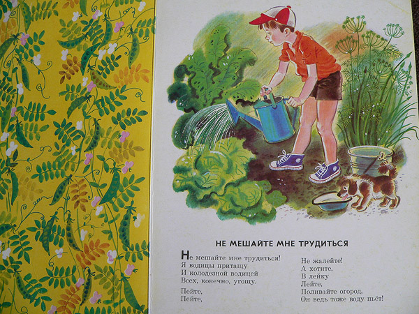 Книги и развитие