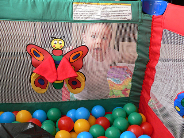 d3866857cc61d2c177a55b28cab2d3ed.jpg