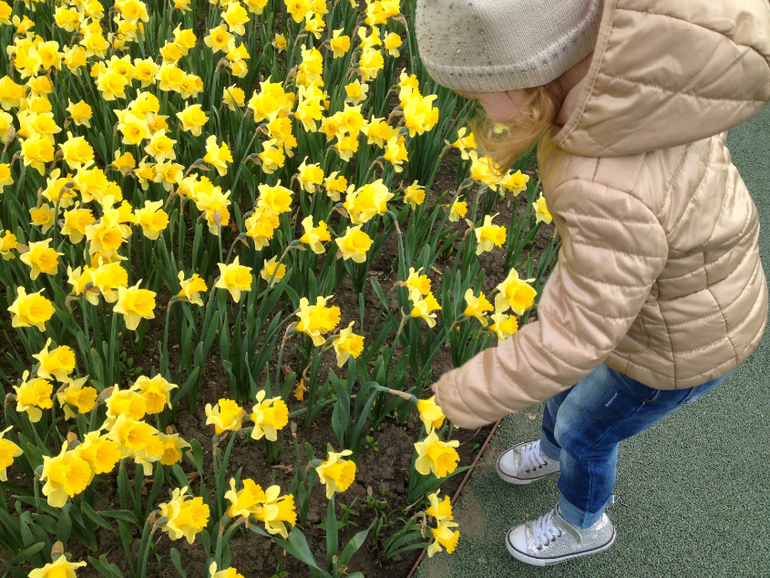 2 мая. Парк Горького