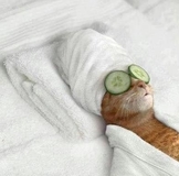 С днём рождения  !!!!!!!!!