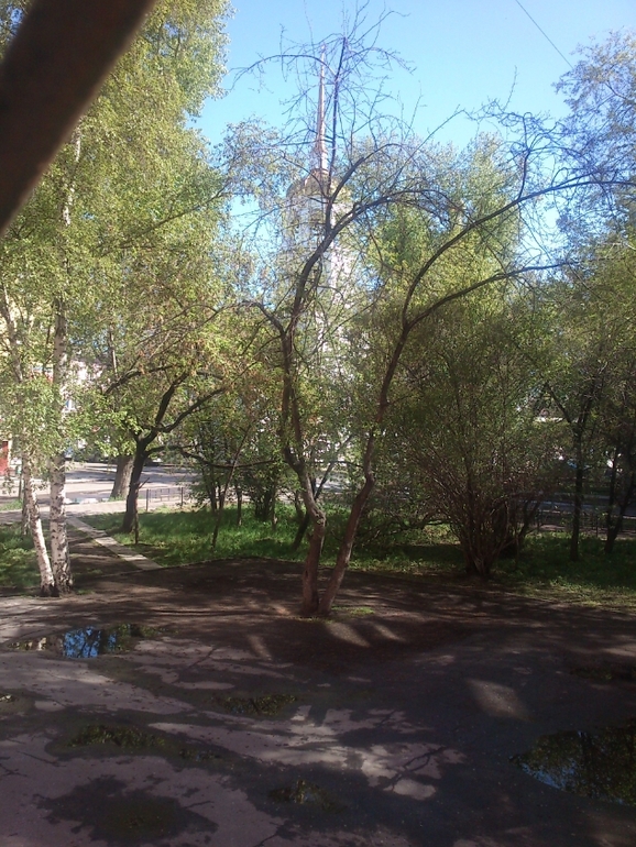 поездка в деревню