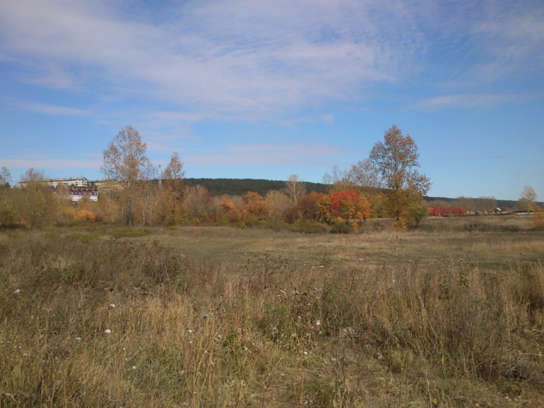 просто шли из магазина