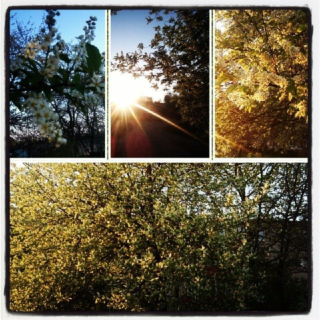 Дачный сезон!!!