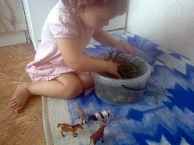 ФМ Домашние животные День 1