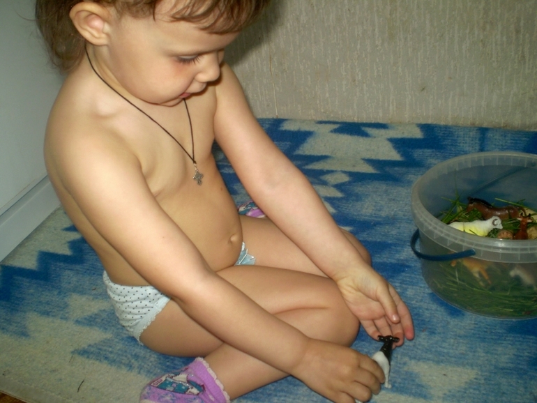 ФМ Домашние животные День 1