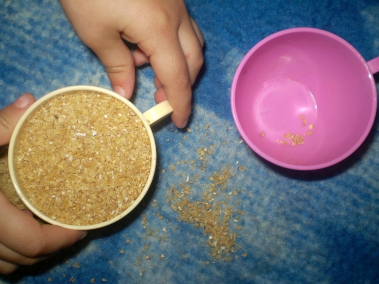 ФМ Домашние животные День 1