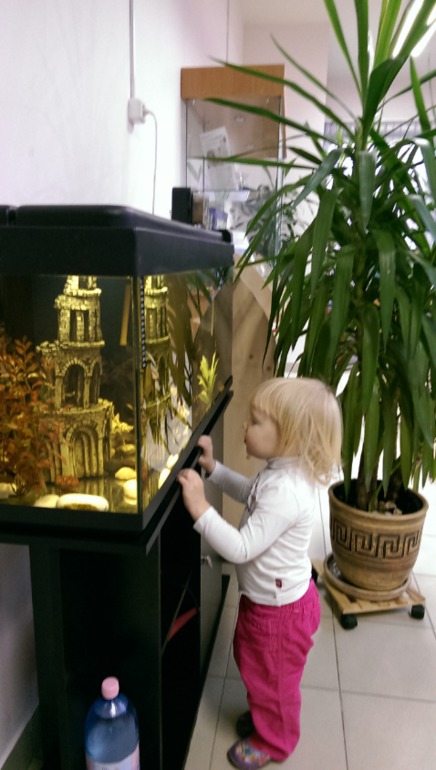 Неделя в ЦИПРе
