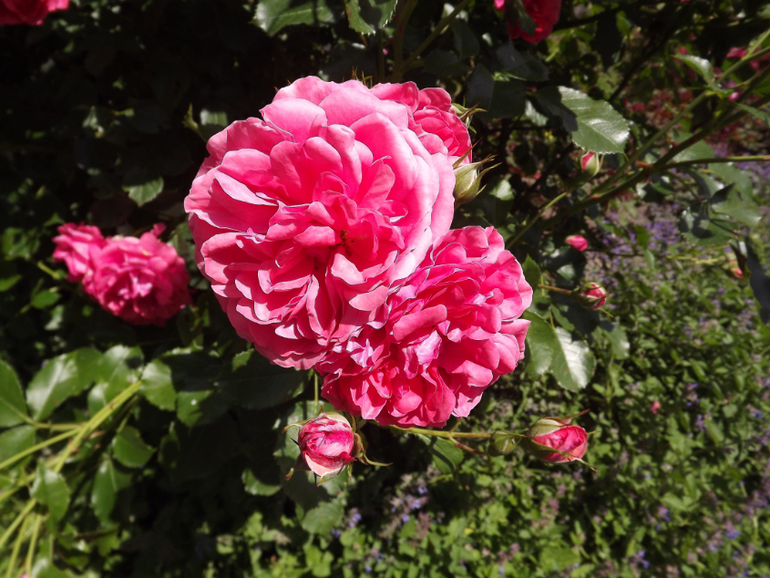 Хорошая девочка Юля