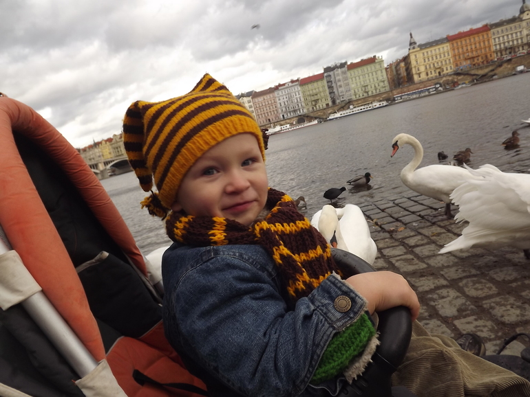 Гуси-лебеди