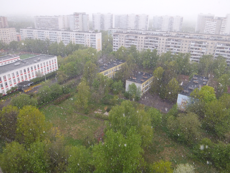 Смотрю в окно и удивляюсь.Рано мы зимние вещи убрали...