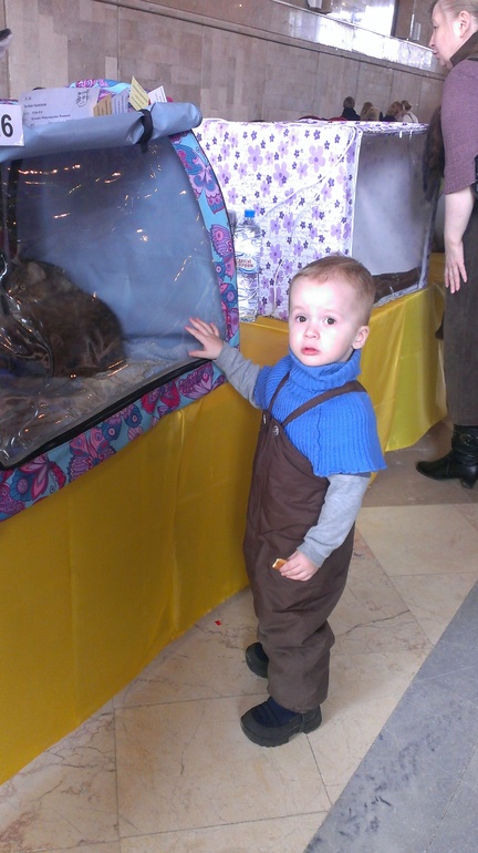 Наша Масленица