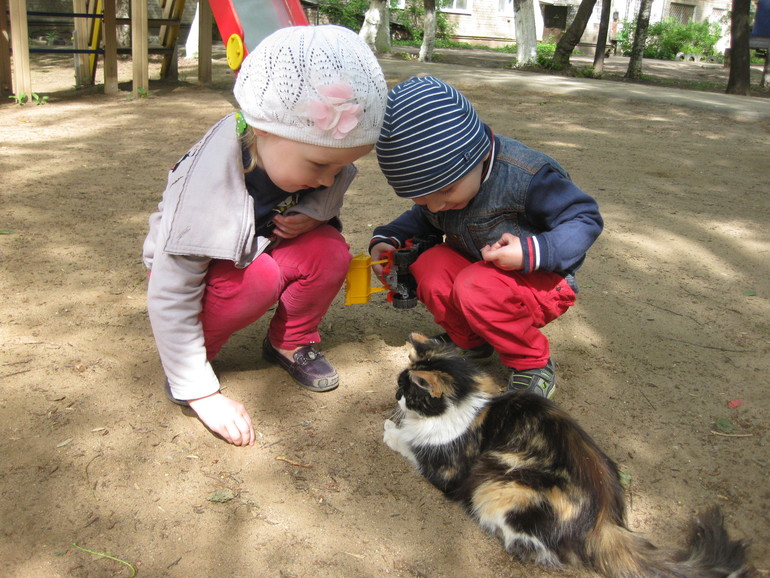 Один наш длинный День...