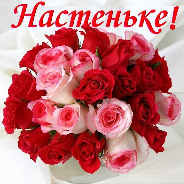 9baa1991bcbd2e645f74f71d5921f69b.jpg