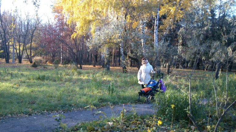 Осенние телефоно-фото