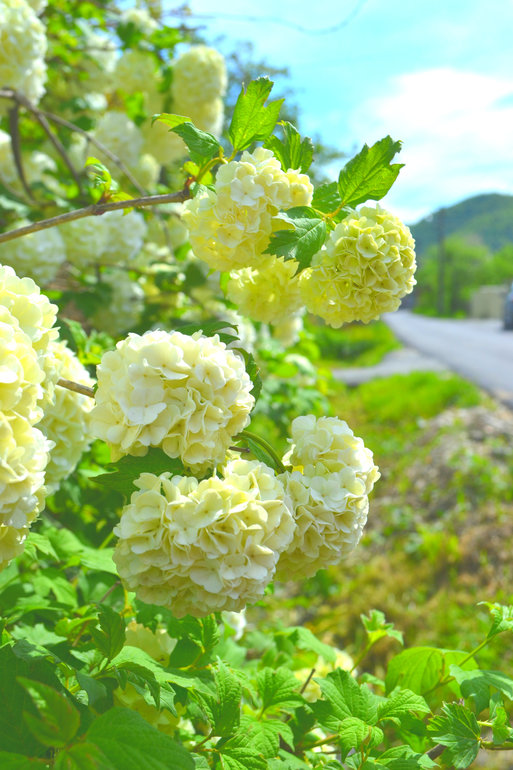 МОЯ счастливая весна. ч.2