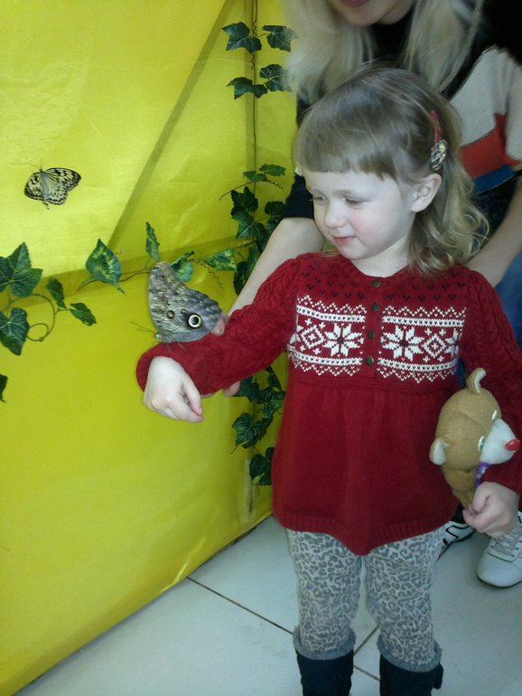 a9dbc94ac5da709306deaf5563dfd665.jpg