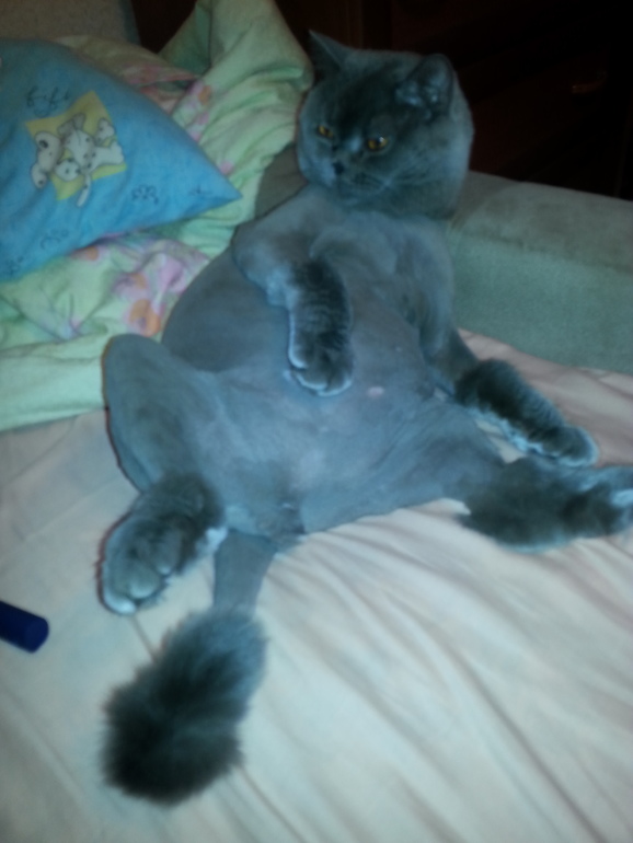 Пожалуйста, помогите !!!