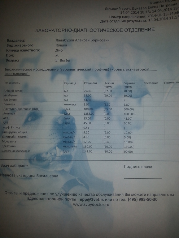 Пожалуйста, помогите !!!