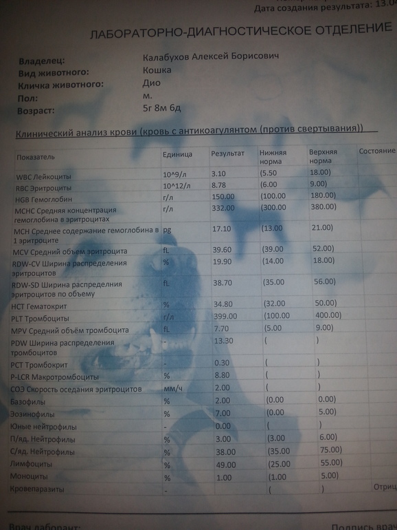 Пожалуйста, помогите !!!