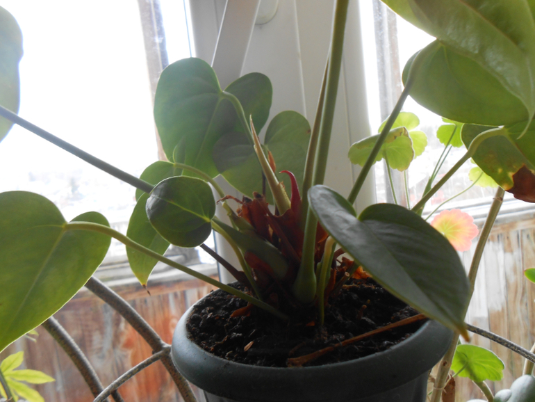 Мои любимые чувствуют весну)))