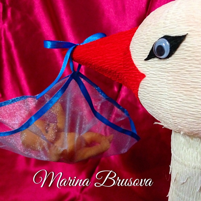 Аист в доме-хорошая примета!