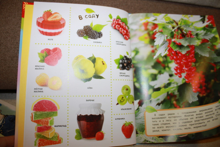 ТН "Ягоды" - отчет. День 4 - вишня.