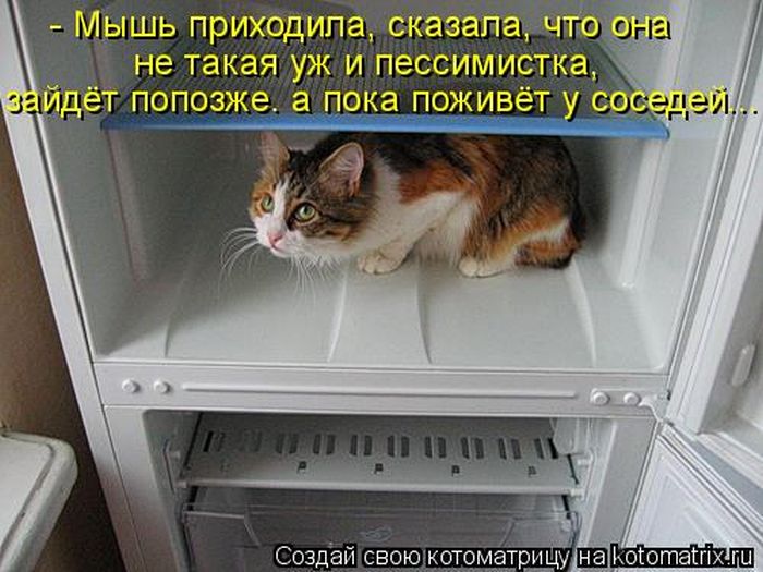 e0e46d8897a59727b7d2bcc953104bfd.jpg