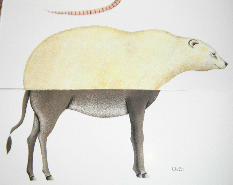 ЖИНЕВОТЫ -мой отзыв о книге...