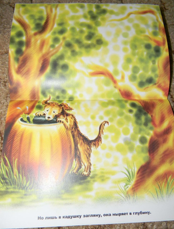 Путешествие в зелёную страну...