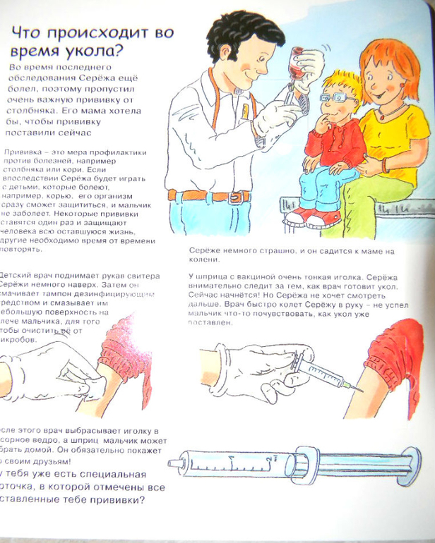 Анатомия для детей, обзор покупок. — 17 ответов | форум Babyblog