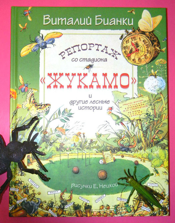 "Репортаж со стадиона Жукамо"