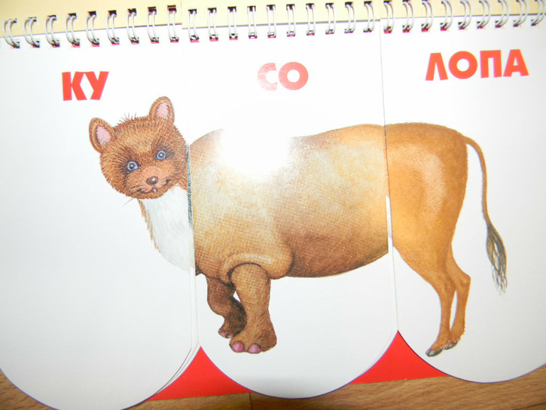 ЖИНЕВОТЫ -мой отзыв о книге...