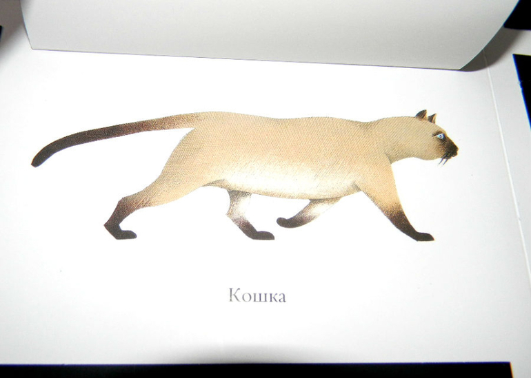 ЖИНЕВОТЫ -мой отзыв о книге...