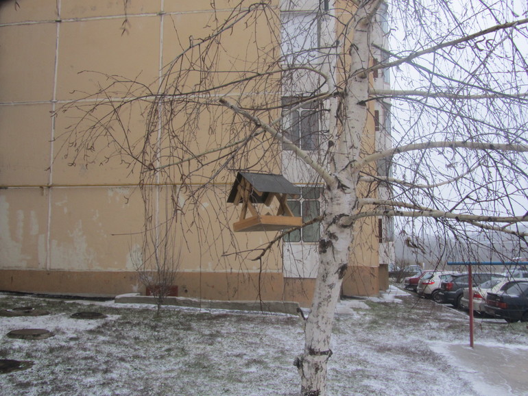 Снегири-снегири!!!!