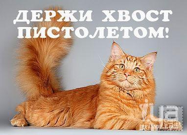 2fff1a91d876e13bd1fea8f37716b2aa.jpg