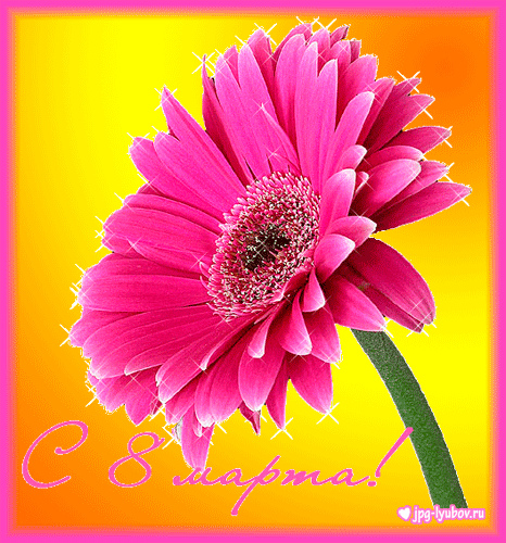 33efa00904b978deccc4460d8f96985e.gif