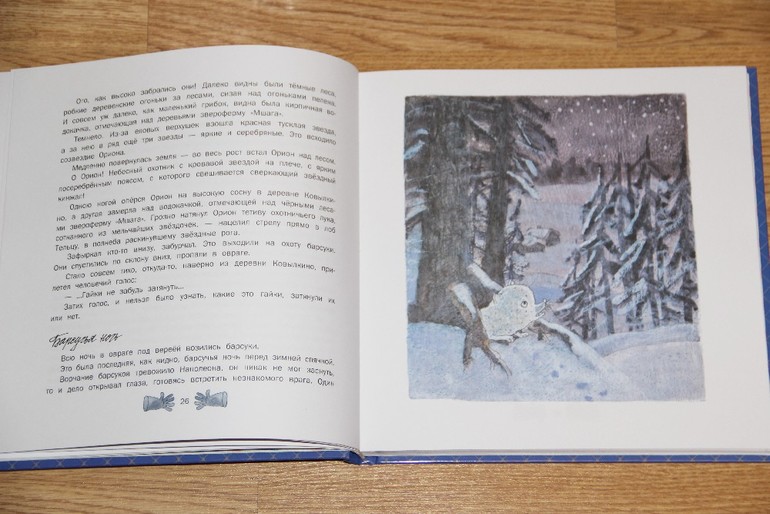 Две книги с иллюстрациями Дмитрия Трубина